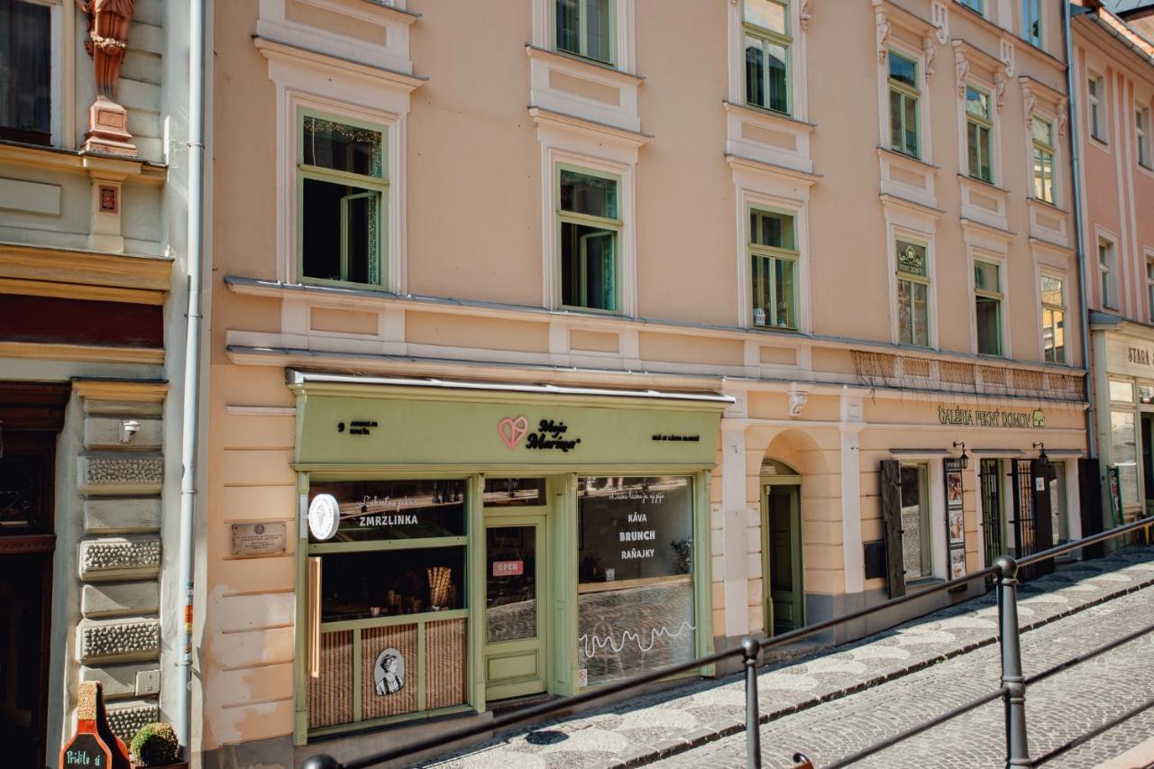 Priestranny Apartman Moja Marina V Srdci Stiavnice Banska Stiavnica Exterior photo